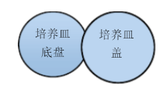 沉降菌测试